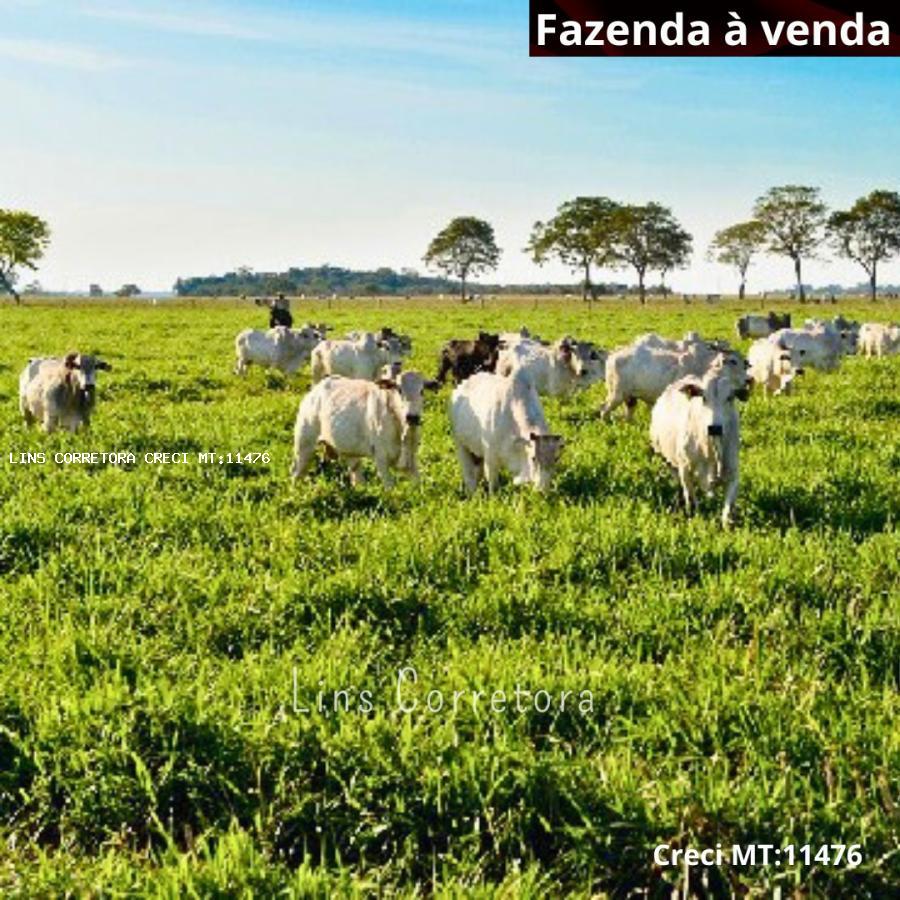 Fazenda Para Venda, Bairro Consultar O Endereço Com Nossa Equipe, área ...